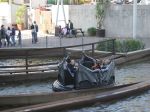 IMG_2608.JPG