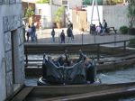IMG_2611.JPG