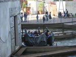 IMG_2612.JPG