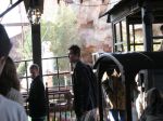 IMG_2624.JPG