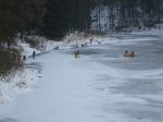 k-DSCF0242.JPG