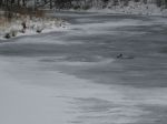 k-IMG_0776.JPG